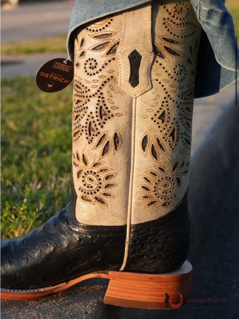 Corral A4530 Women’s Black Ostrich & Bone Laser Cut Western Boots Sz 7.5 - Picture 5 of 7